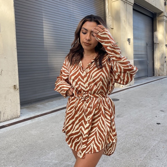 Dresses & Skirts - Chic Zebra Shirt Dress